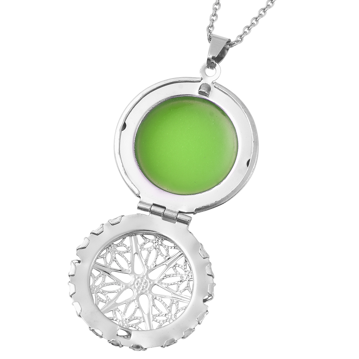 Circle Resin Openable Pendant Necklace 20 Inches in Stainless Steel